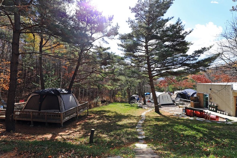 삼남매와 뭉치네 캠핑장 시설 사진 15