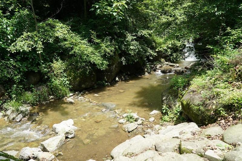 소백산삼가야영장 시설 사진 2