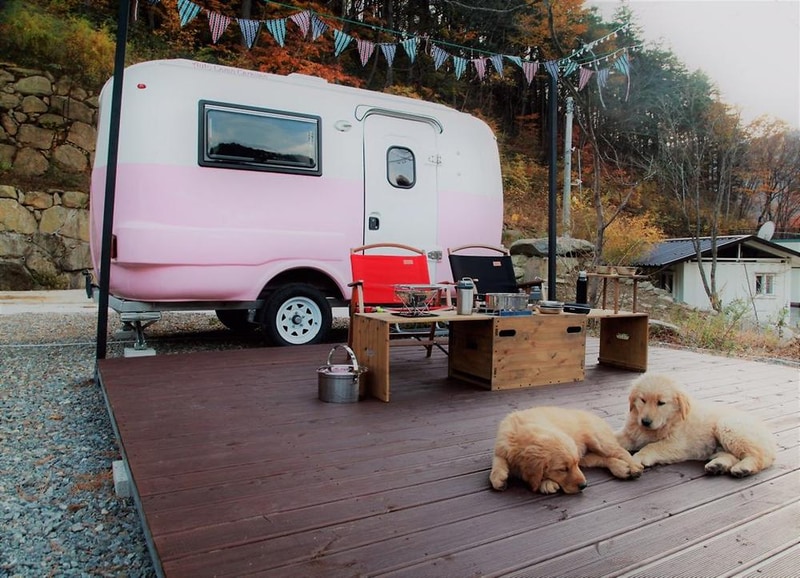 진틀펜션캠핑장 시설 사진 35