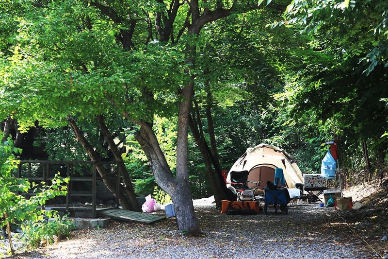 용골송어와 캠핑 시설 사진 10