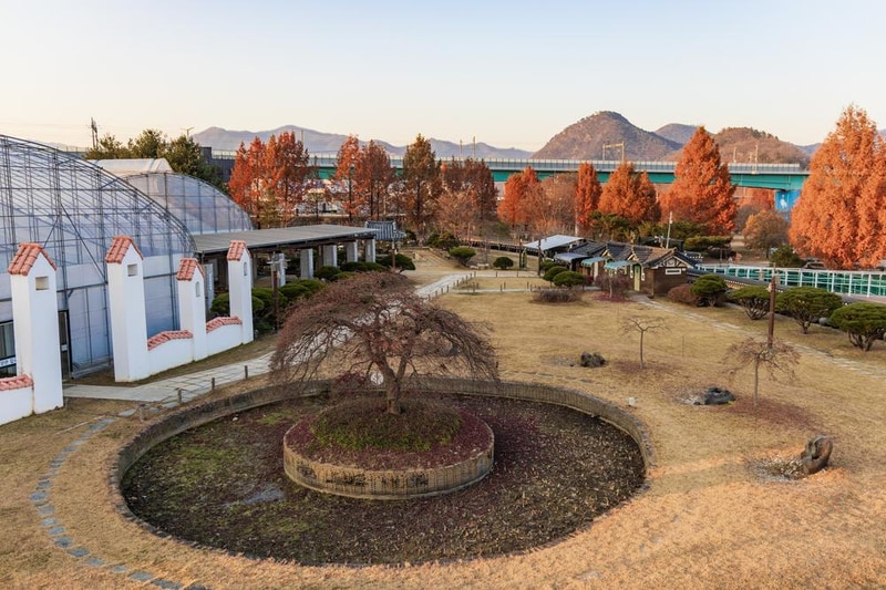 자라섬 캠핑장 시설 사진 85