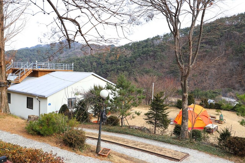 벳소캠프 시설 사진 3