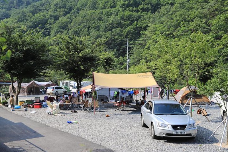 더좋은 펜션 캠핑장 대표 사진