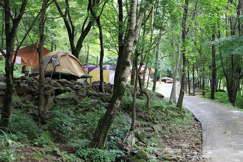 와룡자연휴양림 일반야영장 시설 사진 2