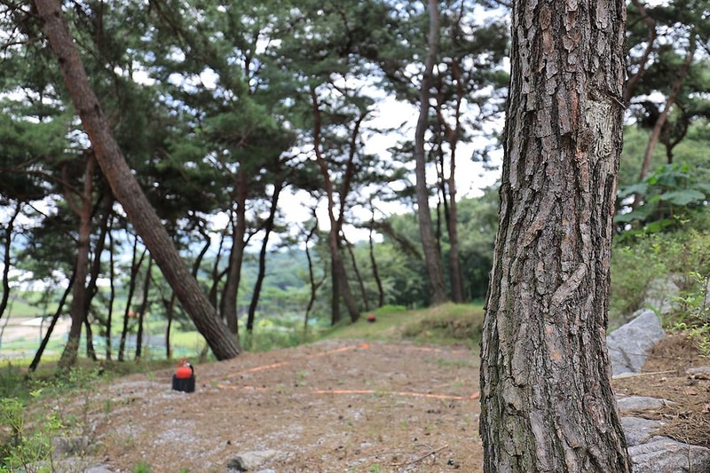 장성잔디로야영장 시설 사진 6