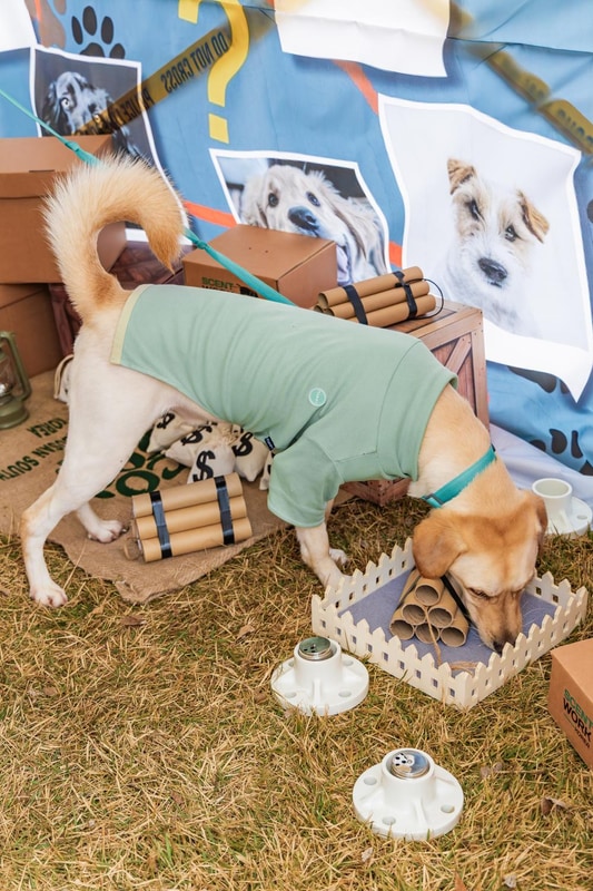 강천섬캠핑장 시설 사진 29