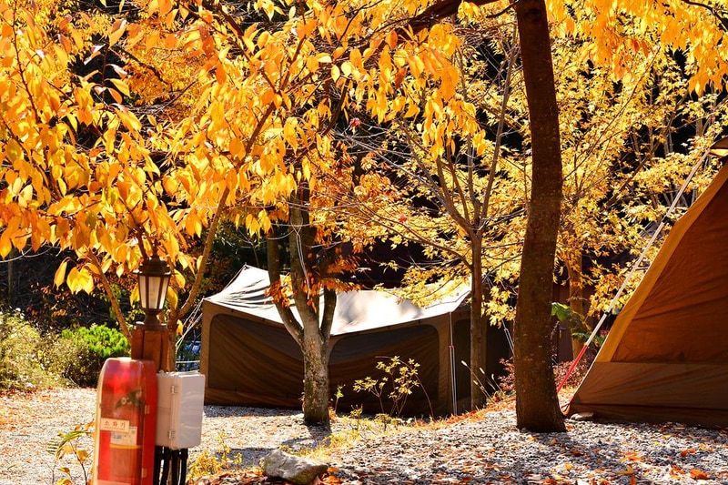 에뜨유명산캠핑장 시설 사진 10