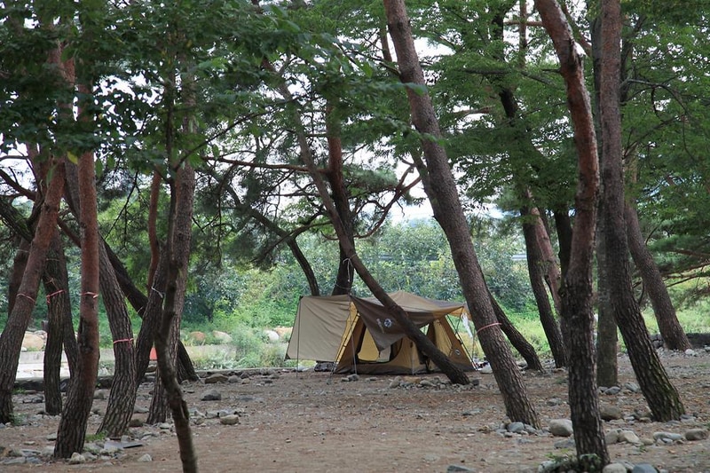 대포숲캠핑장 시설 사진 2
