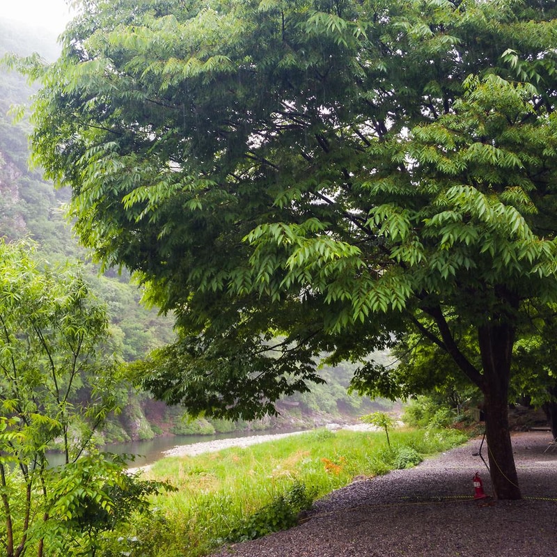 구름계곡캠핑장 시설 사진 17