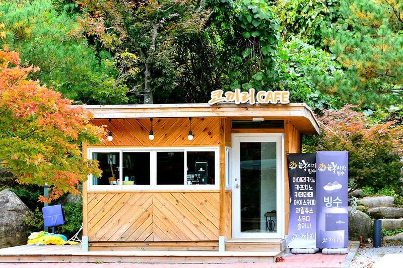 코끼리캠핑장 시설 사진 14