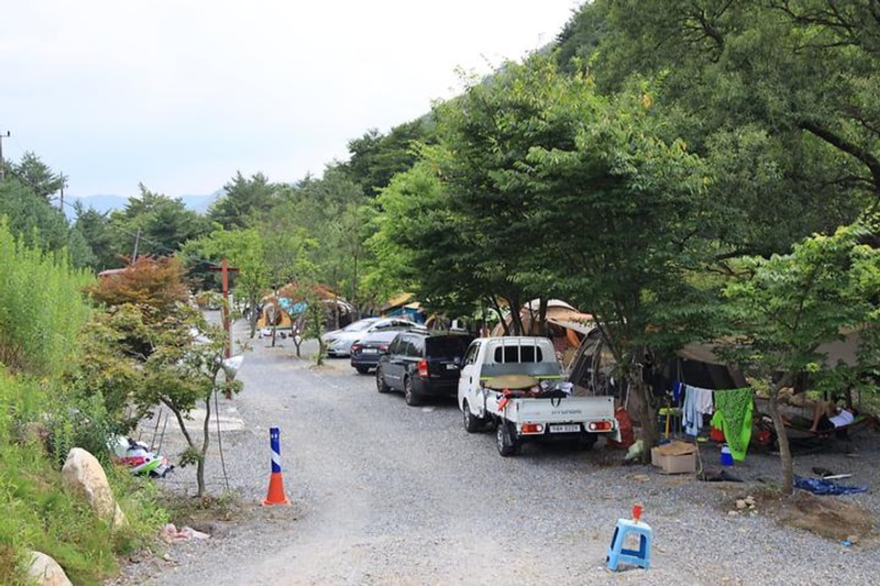 백년펜션 야영장 대표 사진