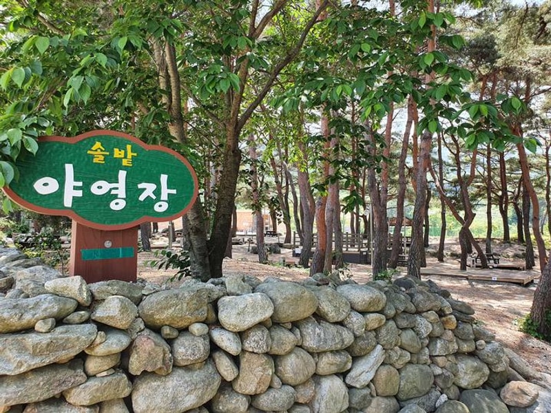 솔밭야영장