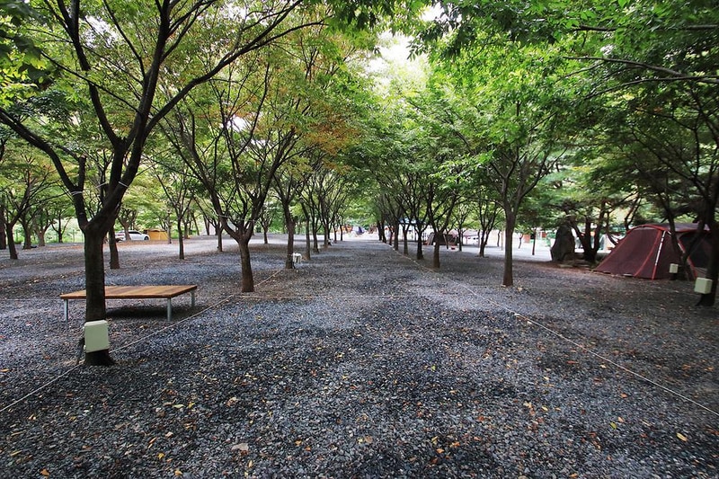 구름아래 캠핑장 시설 사진 7