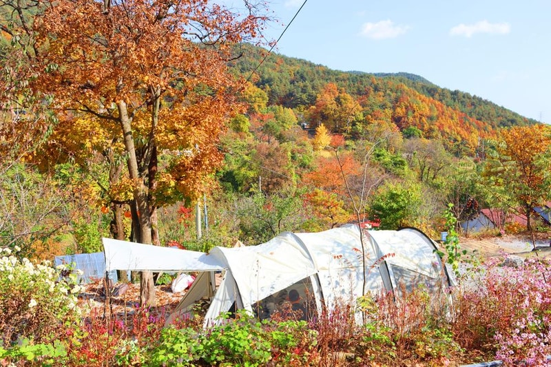 정원캠핑장 시설 사진 14