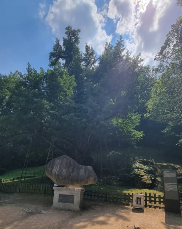 진악산