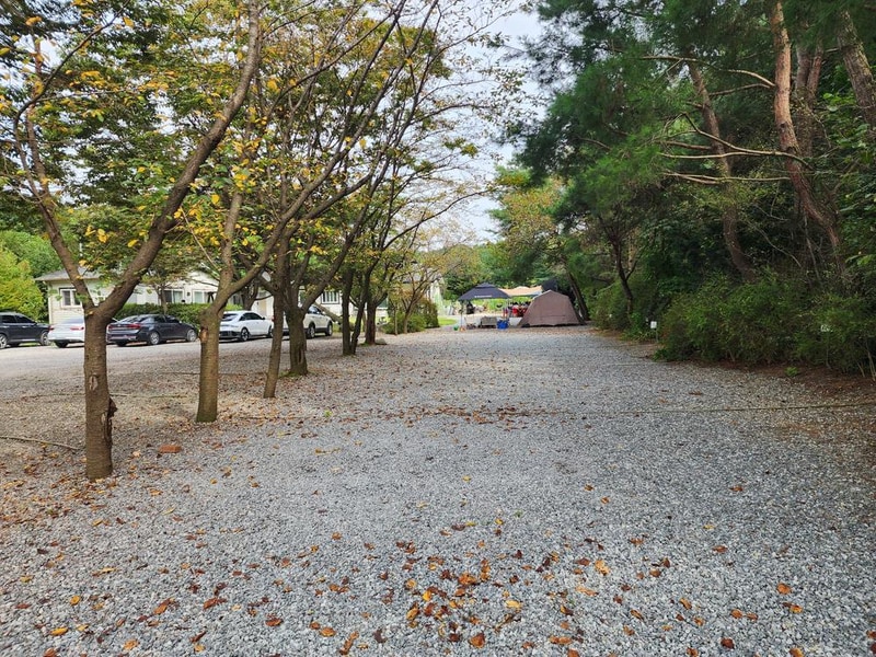숲속에안뜰 캠핑장 시설 사진 7