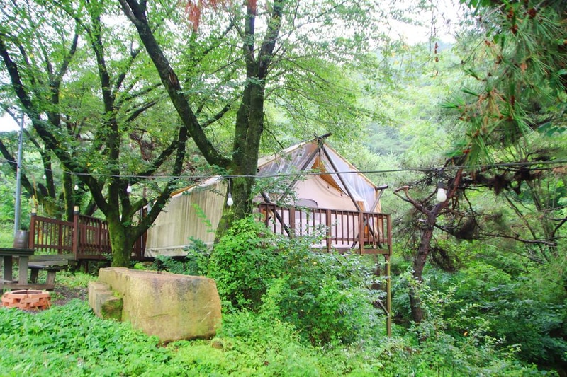 청풍월드니스글램핑 시설 사진 1