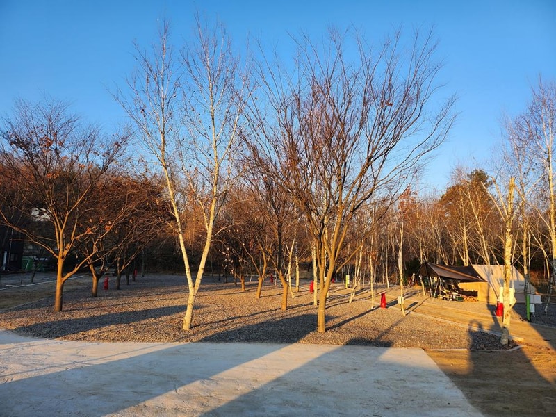 나무와 쉬리 시설 사진 15