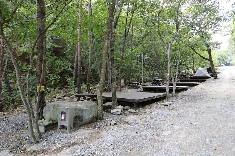 황정산자연휴양림야영장 시설 사진 11