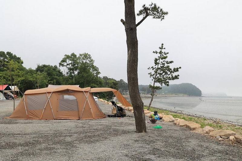 태안머드오토캠핑 시설 사진 10
