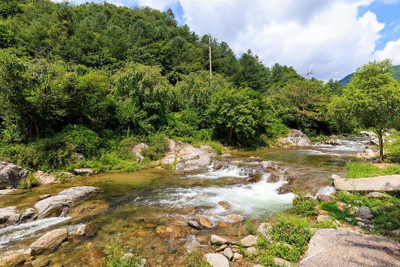 강가민박캠핑장 시설 사진 5