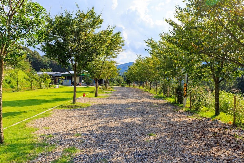 왕산골 관광농원 시설 사진 18