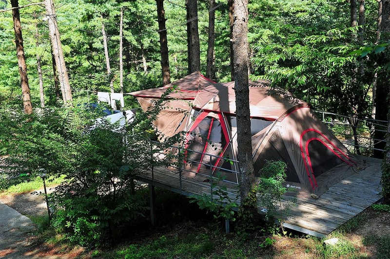 나무새 관광농원 시설 사진 6