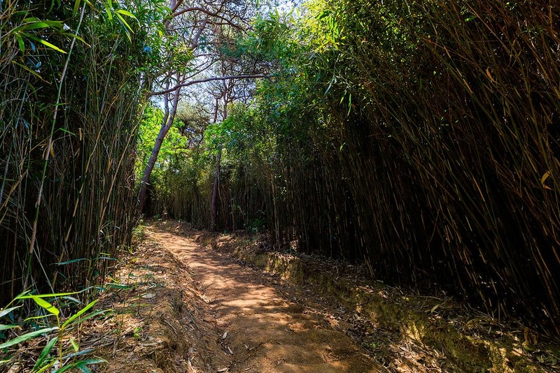 별밤캠핑장 시설 사진 20