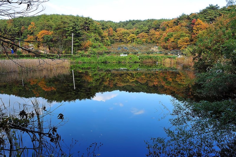 달곡캠프 시설 사진 2