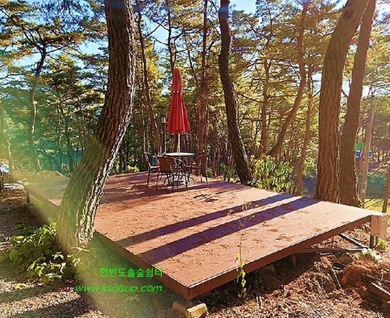 한반도 솔숲 쉼터 시설 사진 4