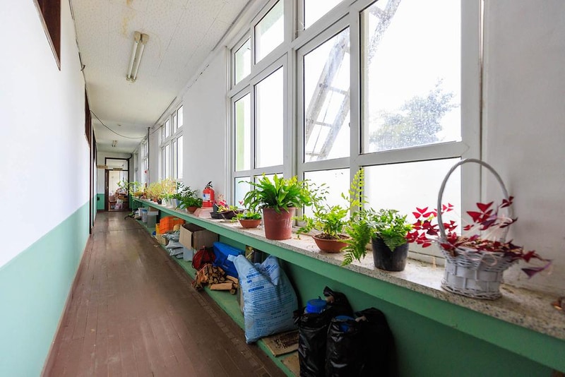 소풍 시설 사진 17