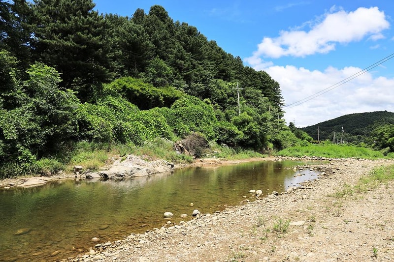 맑은물소리캠핑장 시설 사진 10