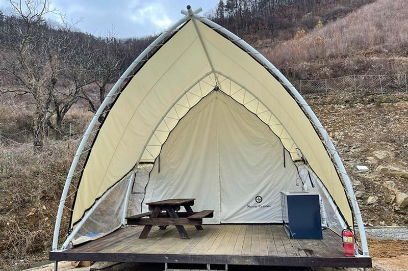 천안 트리하우스 대표 사진