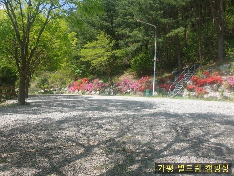 별드림캠핑장 대표 사진