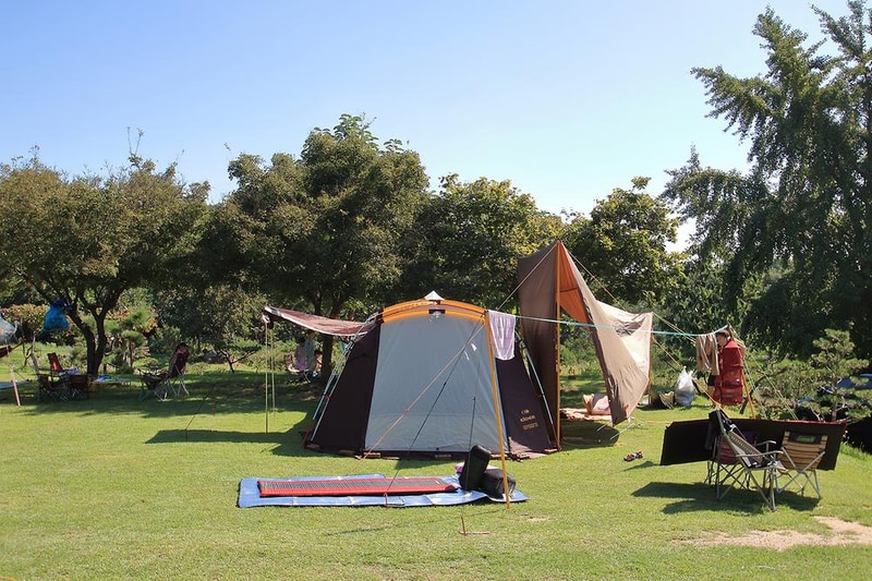 진경원민박캠핑장 시설 사진 3