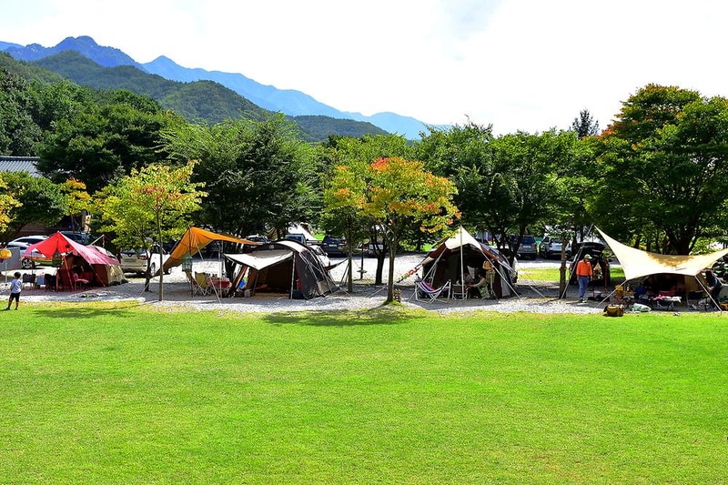 넓은마당캠핑장 시설 사진 33