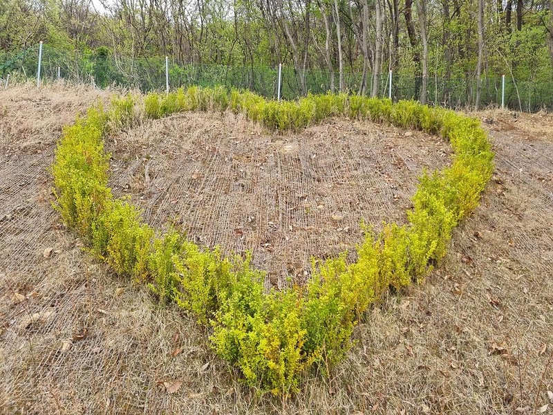 천안 산들바람 글램핑장 시설 사진 29