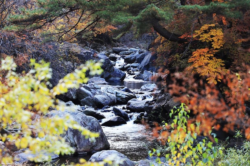국립가리왕산자연휴양림 시설 사진 6
