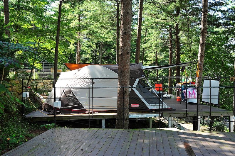 나무새 관광농원 시설 사진 7