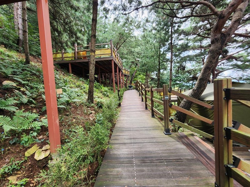 신암저수지 숲속야영장 시설 사진 20