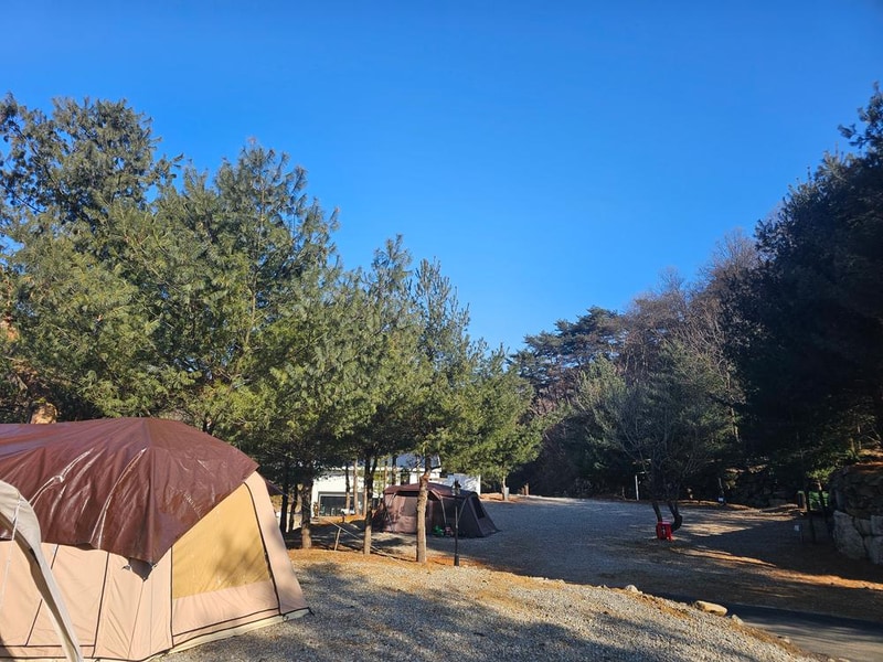 (에드203) 플라네캠핑장 시설 사진 3