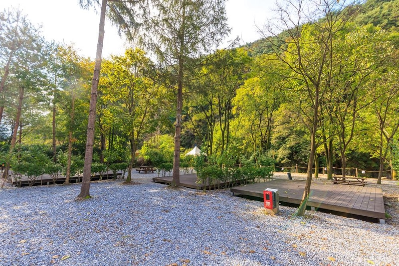 포레스트힐링캠프 시설 사진 18