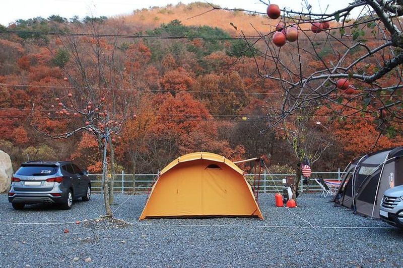 용천토리 오토캠핑장 대표 사진