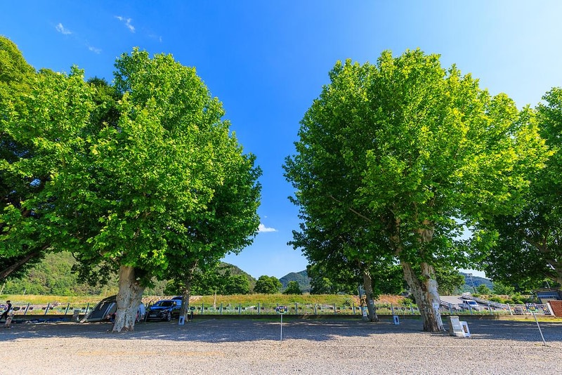 안림딸기마을 캠핑장 시설 사진 13