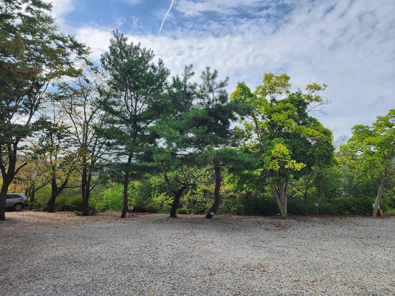 숲속에안뜰 캠핑장 시설 사진 14