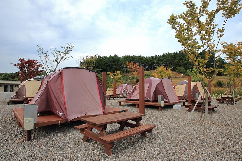 서천 금빛노을 서울캠핑장 시설 사진 3