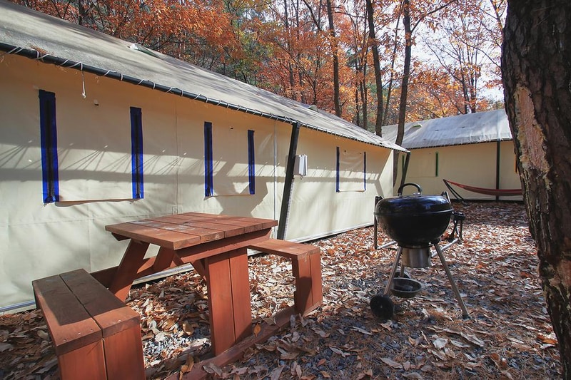 참나무숲 오토캠핑장 시설 사진 8