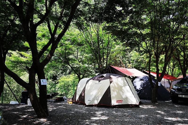 맑은물소리캠핑장 시설 사진 27