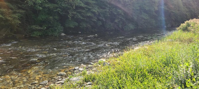 리프레쉬 캠핑장 시설 사진 8