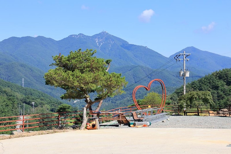 오도산 관광농원 시설 사진 13